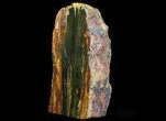 Marra Mamba Stromatolite Section ( lbs - Billion Years Old #64788-1